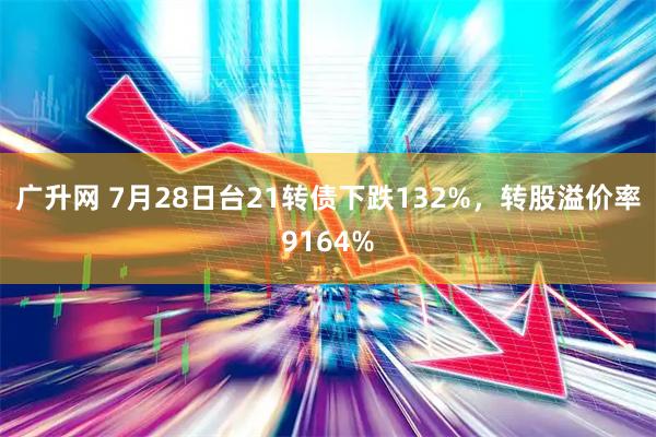 广升网 7月28日台21转债下跌132%，转股溢价率9164%